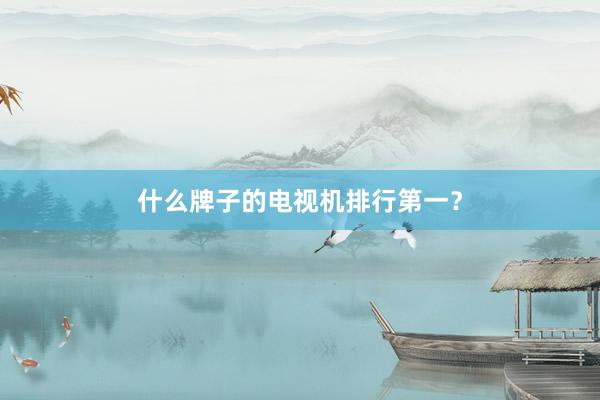 什么牌子的电视机排行第一？